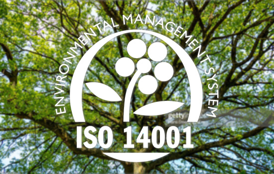 Albero sullo sfondo con pittogramma di ISO 14001 - Sistema di gestione ambientale