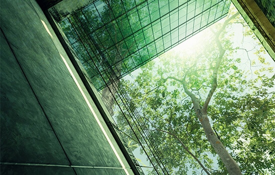 Edifici commerciali con cielo blu e foglie di alberi